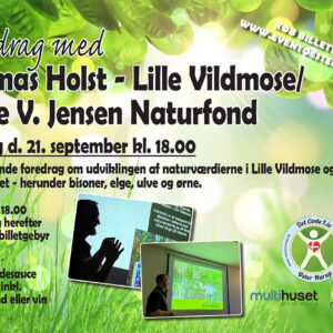 Thomas Holst - Lille Vildmose